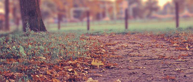 不停给对方打电话的软件